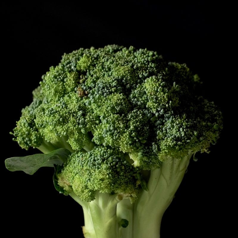 How to Grow Broccoli