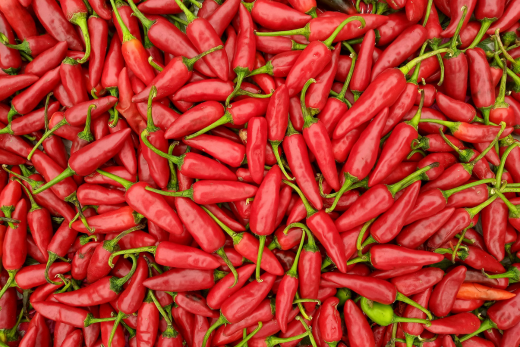 How to Grow Chillies