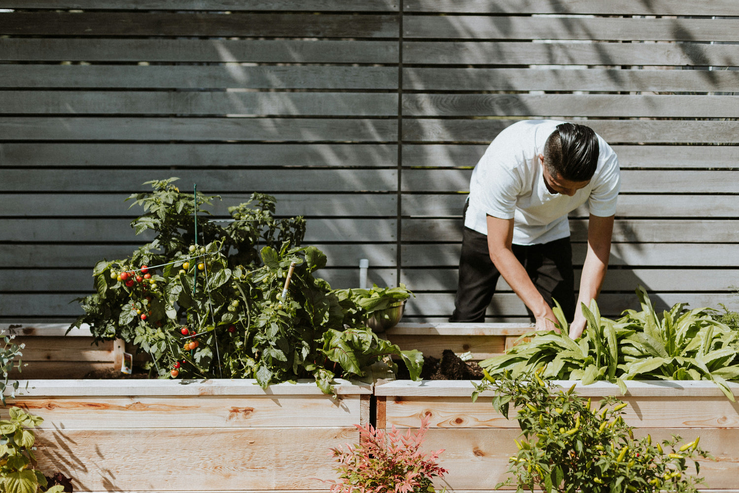 10 Small Vegetable Garden Ideas