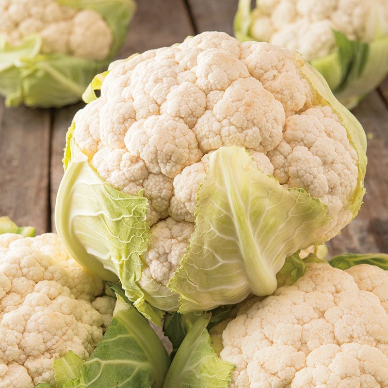 dt-brown VEGETABLE SEEDS Cauliflower All The Year Round Seeds