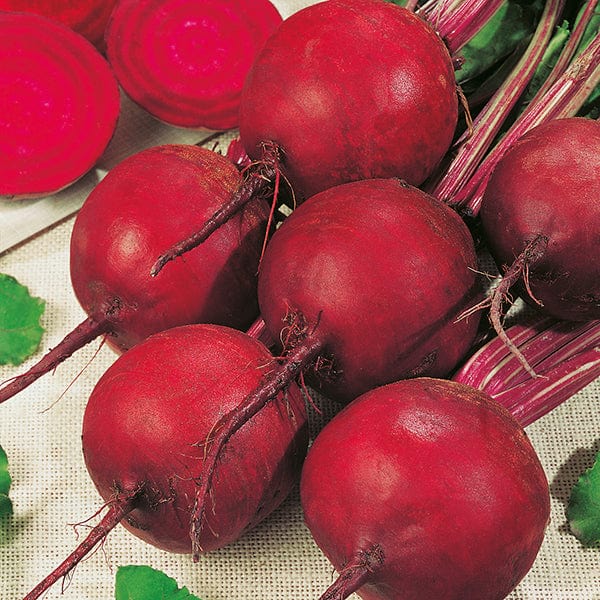 dt-brown VEGETABLE SEEDS Beetroot Boltardy AGM Seeds