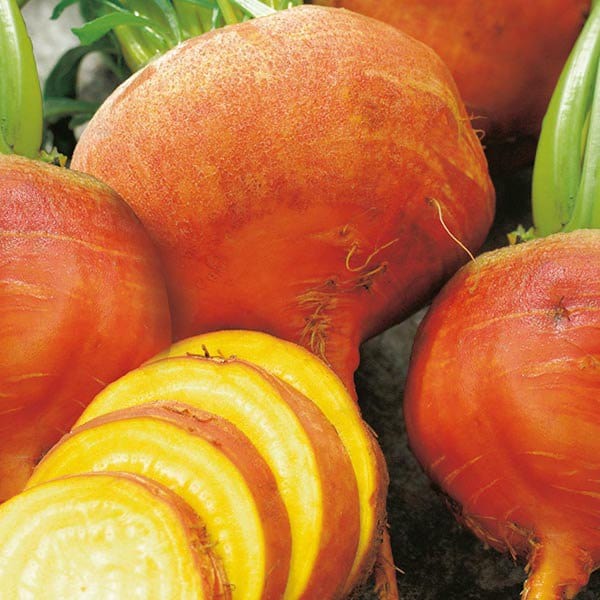 dt-brown VEGETABLE SEEDS Beetroot Burpees Golden Seeds