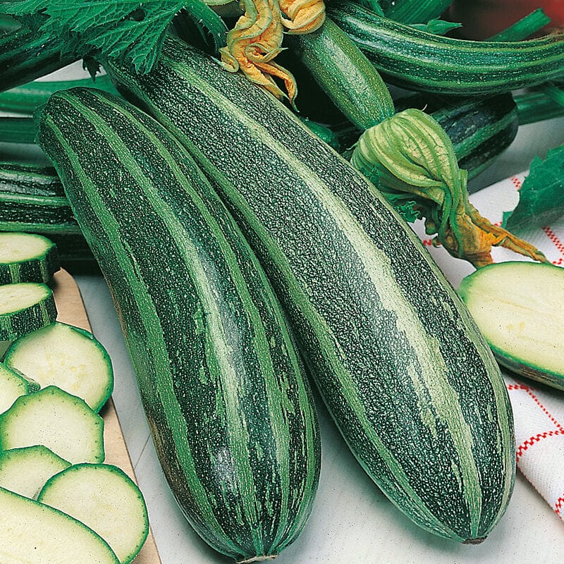 dt-brown VEGETABLE SEEDS Marrow Long Green Bush 4 Seeds