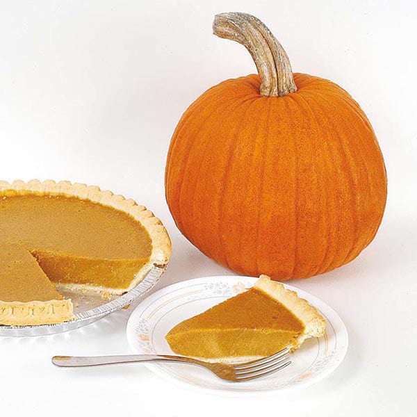 dt-brown VEGETABLE SEEDS Pumpkin New England Pie Seeds