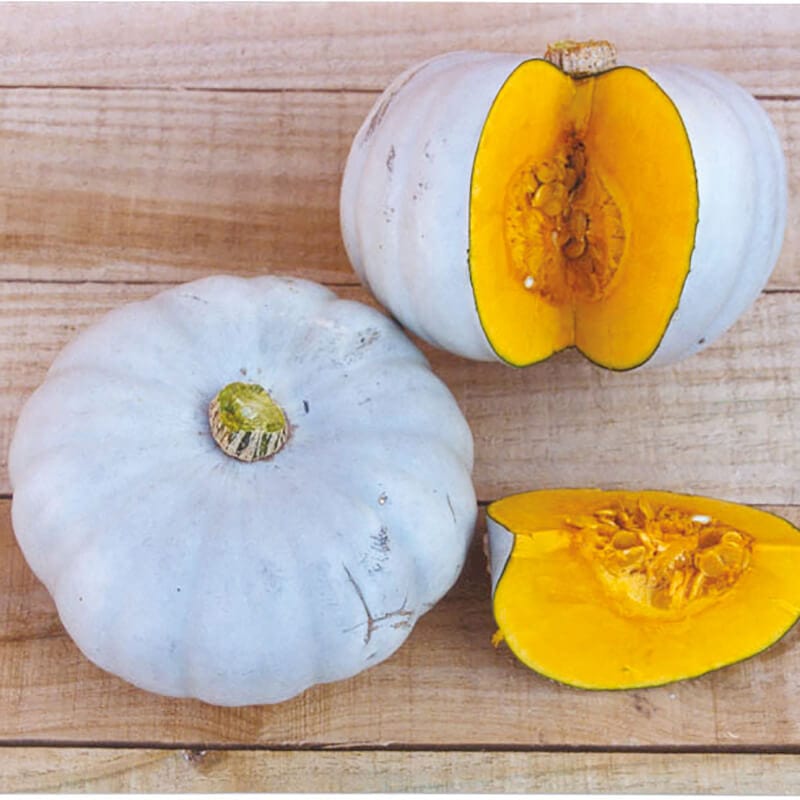 dt-brown VEGETABLE SEEDS Pumpkin Crown Prince F1 AGM Seeds