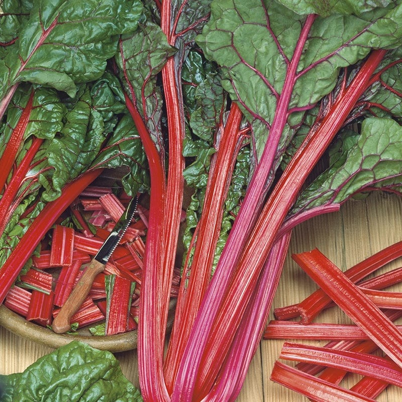 dt-brown VEGETABLE SEEDS Chard (Rhubarb) Charlotte AGM Seeds