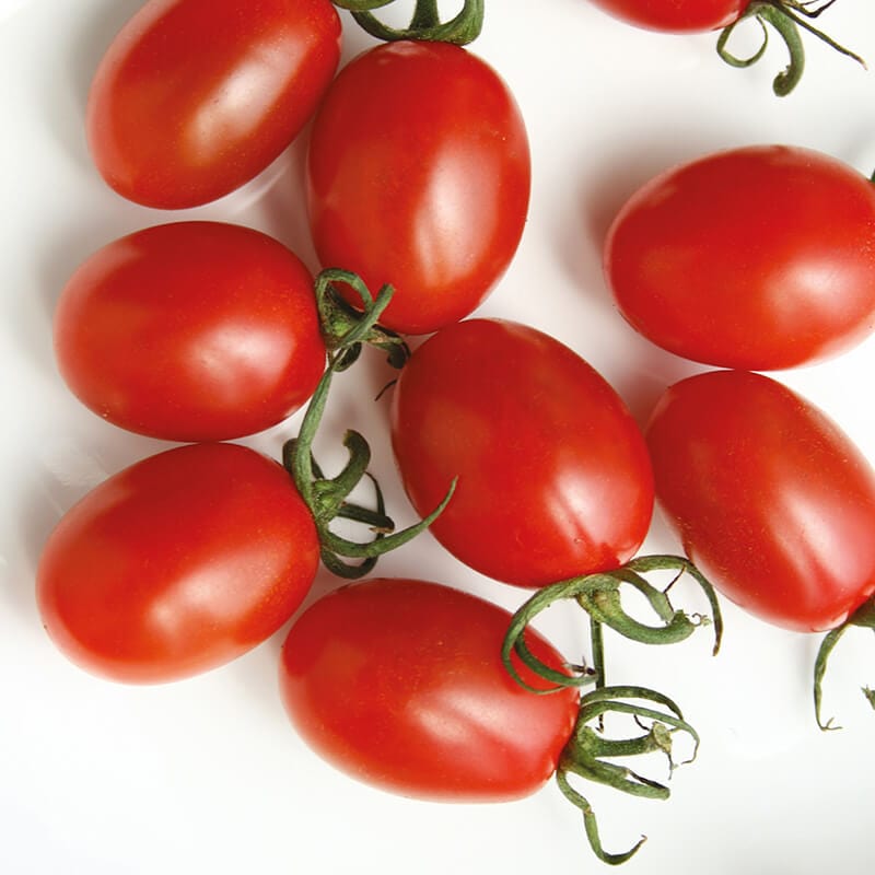 dt-brown VEGETABLE SEEDS Tomato Sun Grape F1 Seeds