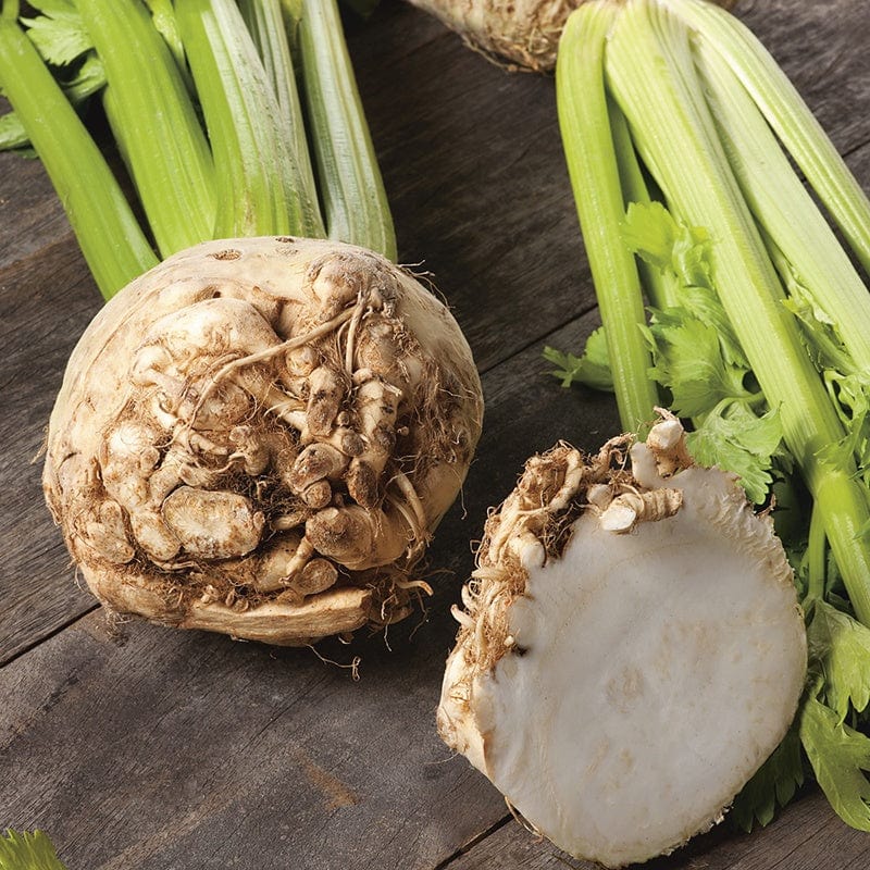 dt-brown VEGETABLE SEEDS Celeriac Ilona F1 Seeds