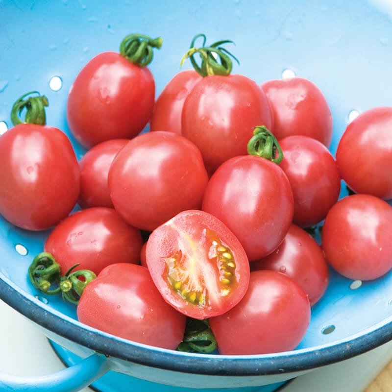 dt-brown VEGETABLE SEEDS Tomato Flamingo F1 Seeds