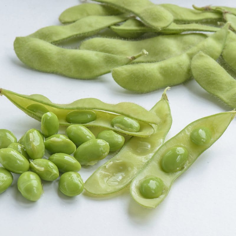 dt-brown VEGETABLE SEEDS Edamame Bean Summer Shell