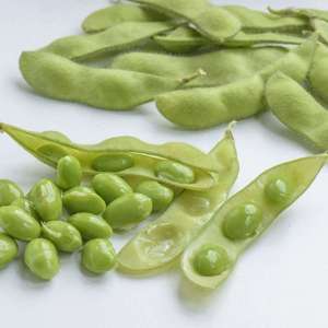 dt-brown VEGETABLE PLANTS Edamame Bean Summer Shell Vegetable Plants