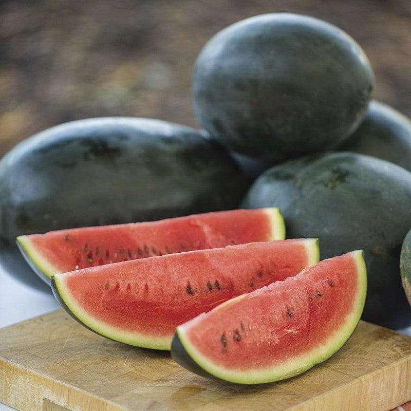 dt-brown VEGETABLE SEEDS Watermelon Little Darling F1 Seeds