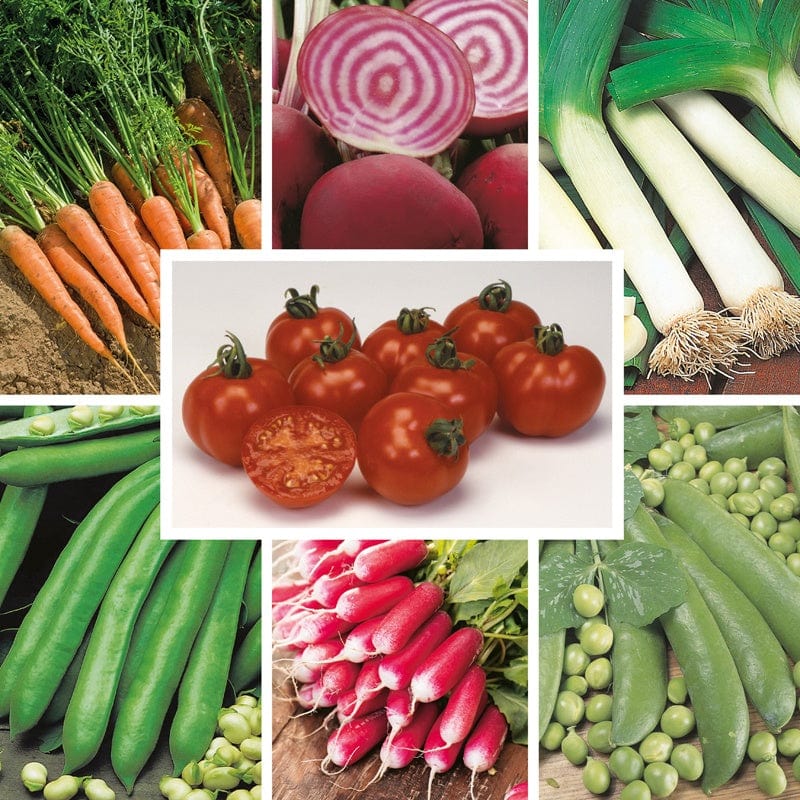 dt-brown VEGETABLE SEEDS Heritage Vegetable Seed Collection