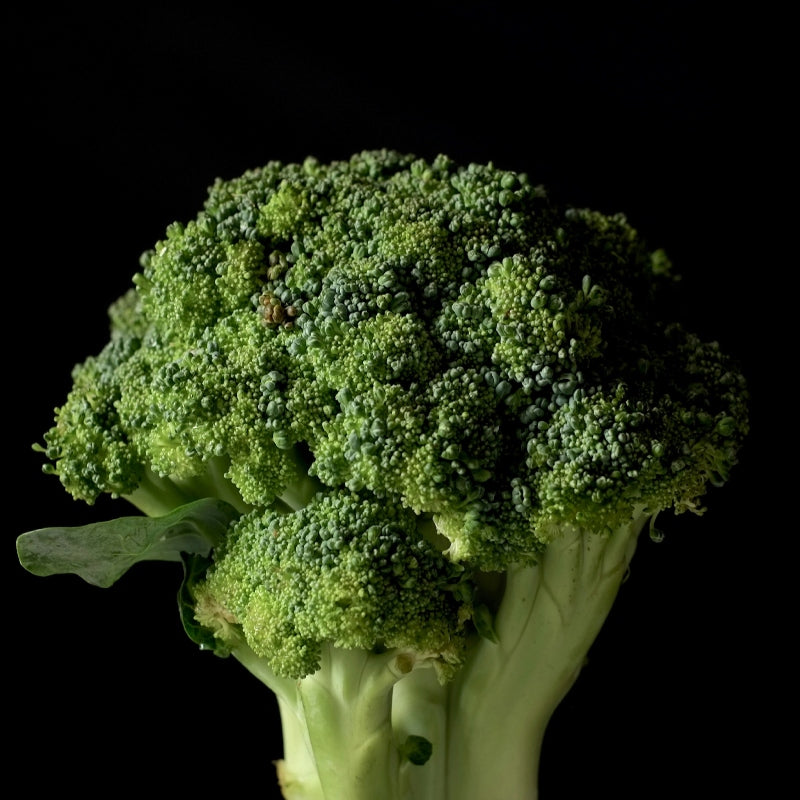 Broccoli Plants