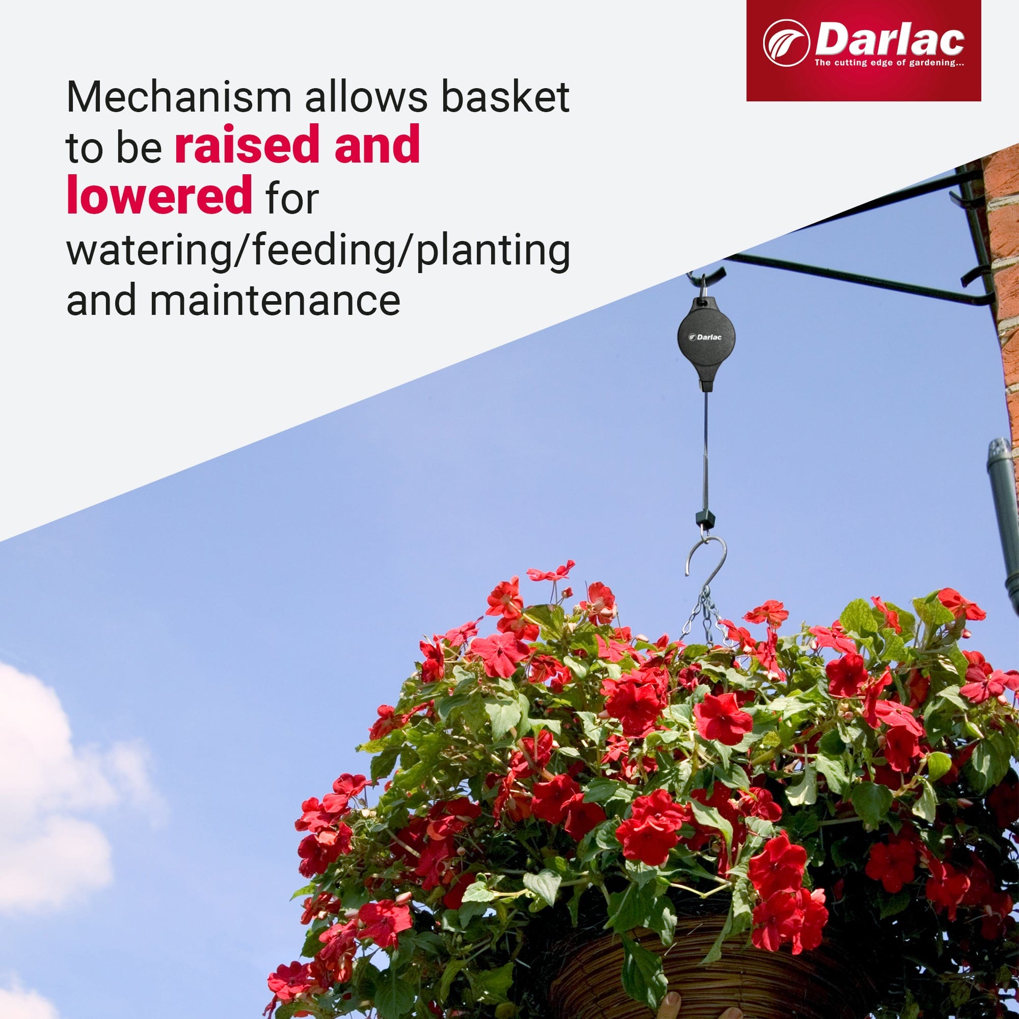 dt-brown HARDWARE Darlac Hi-Lo for Hanging Baskets