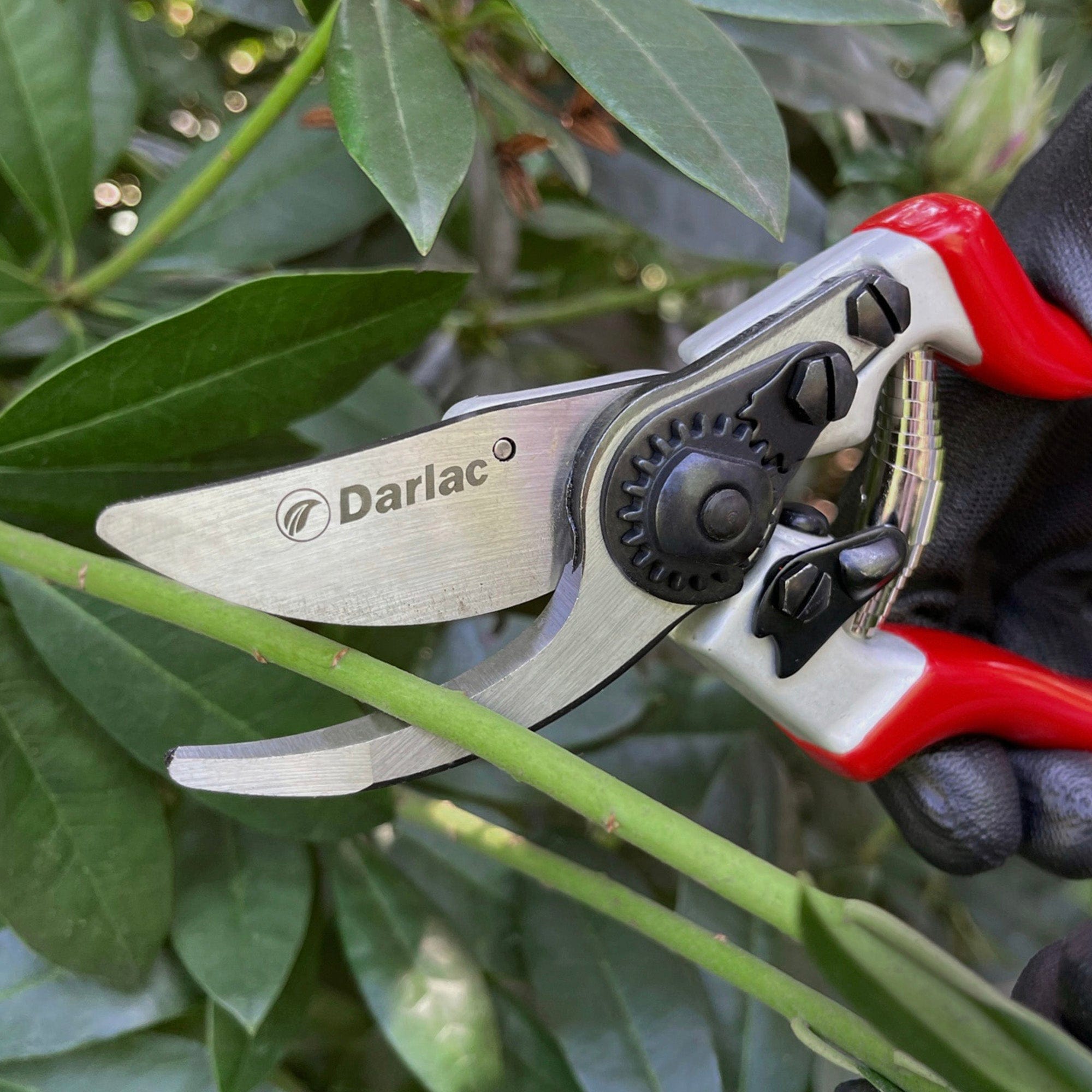 dt-brown HARDWARE Darlac Expert Bypass Secateurs