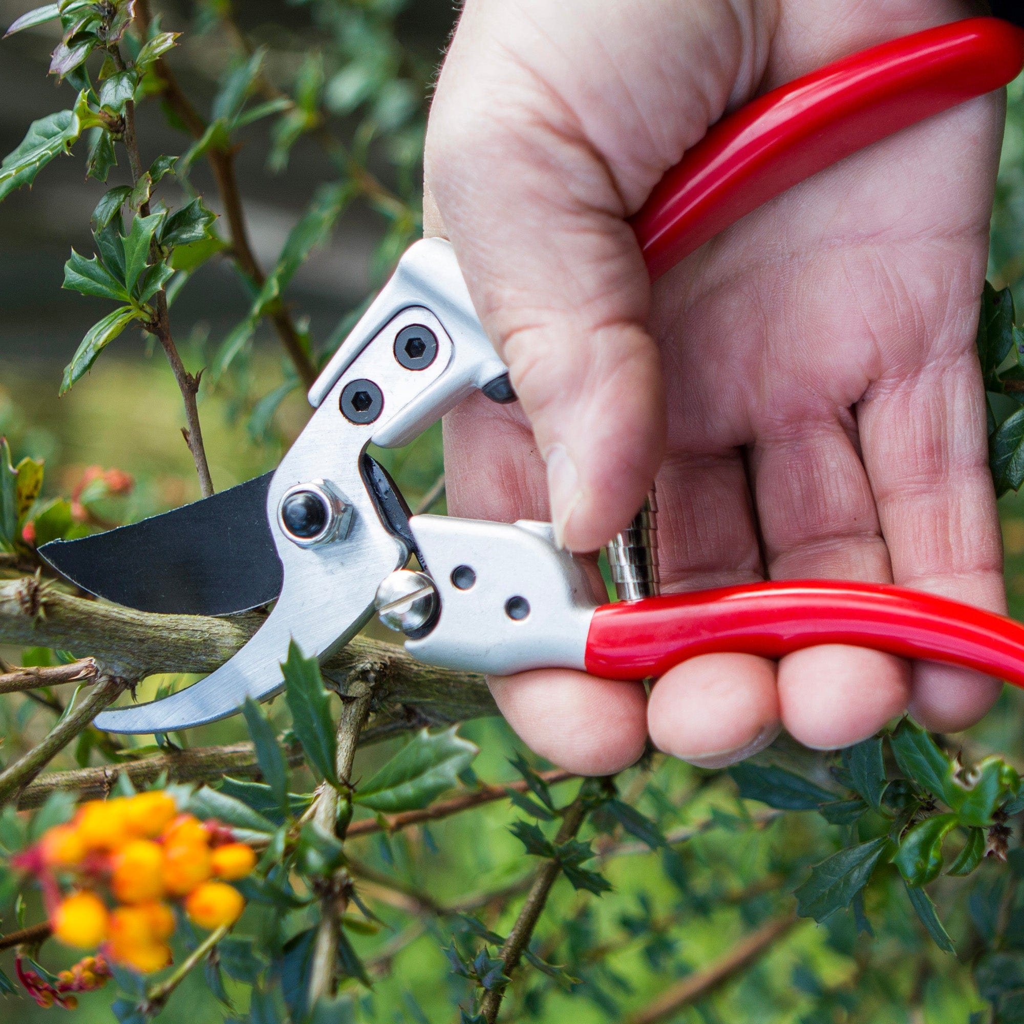 dt-brown HARDWARE Darlac Expert Medium Bypass Secateurs