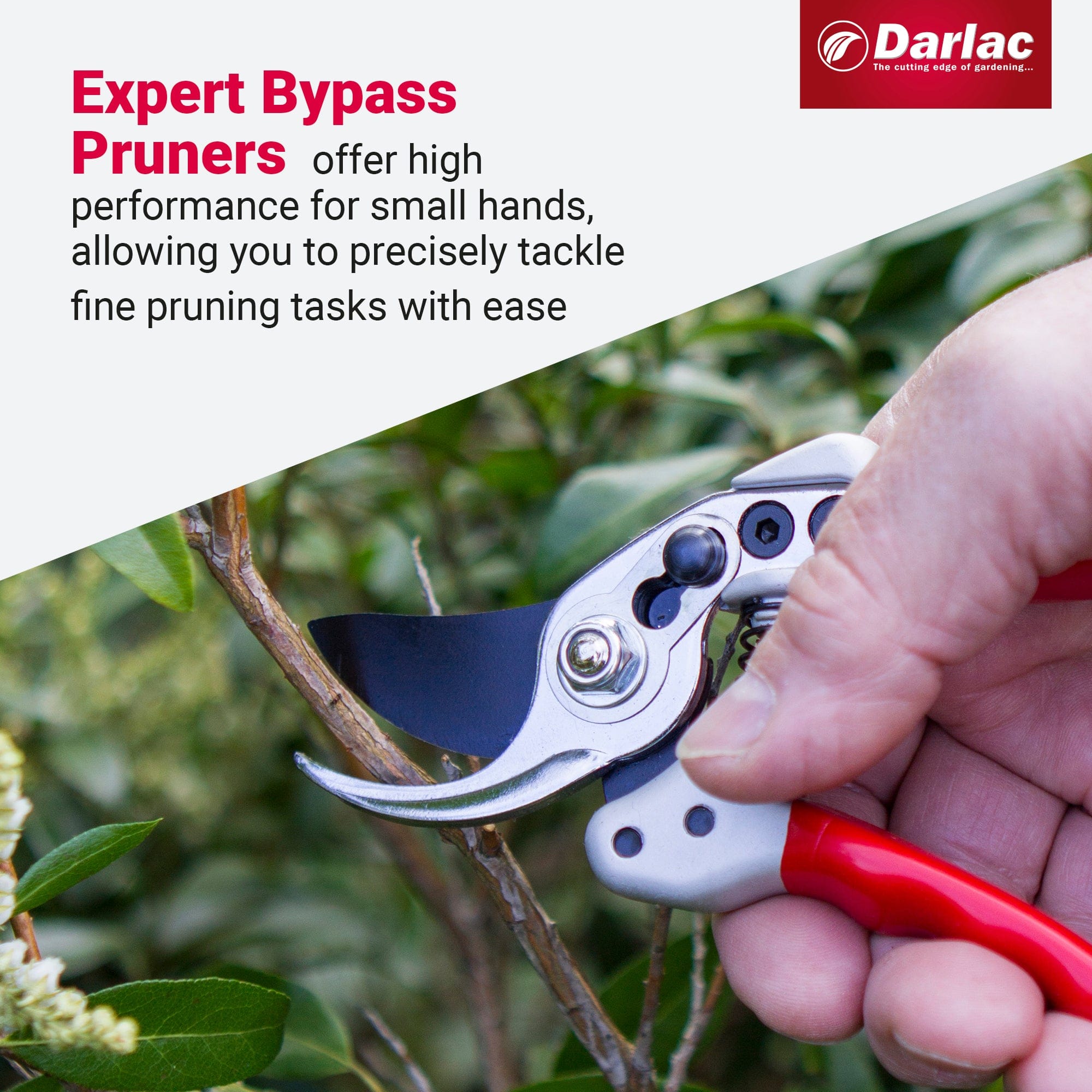 dt-brown HARDWARE Darlac Expert Bypass Small Secateurs