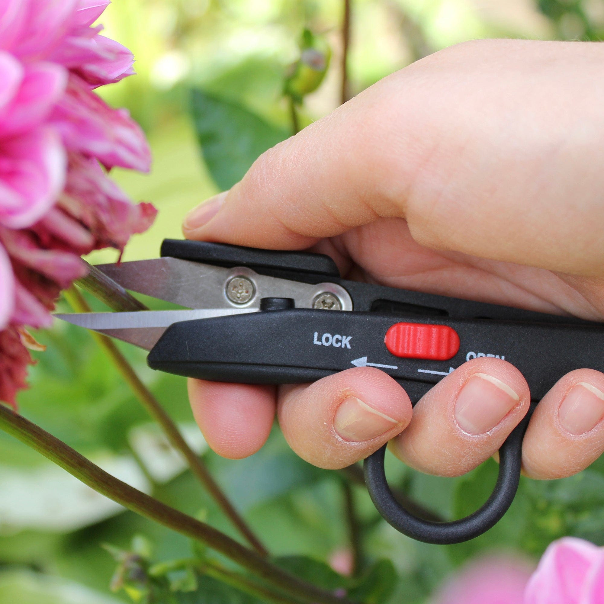 dt-brown HARDWARE Darlac Deadheading Snips