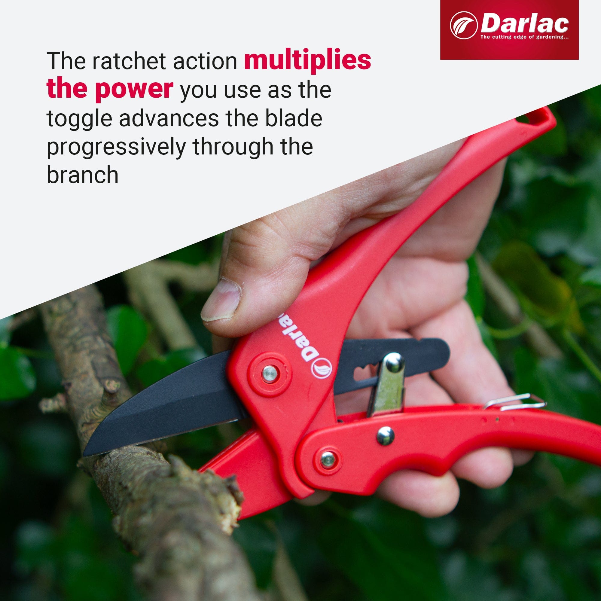 dt-brown HARDWARE Darlac Standard Ratchet Secateurs