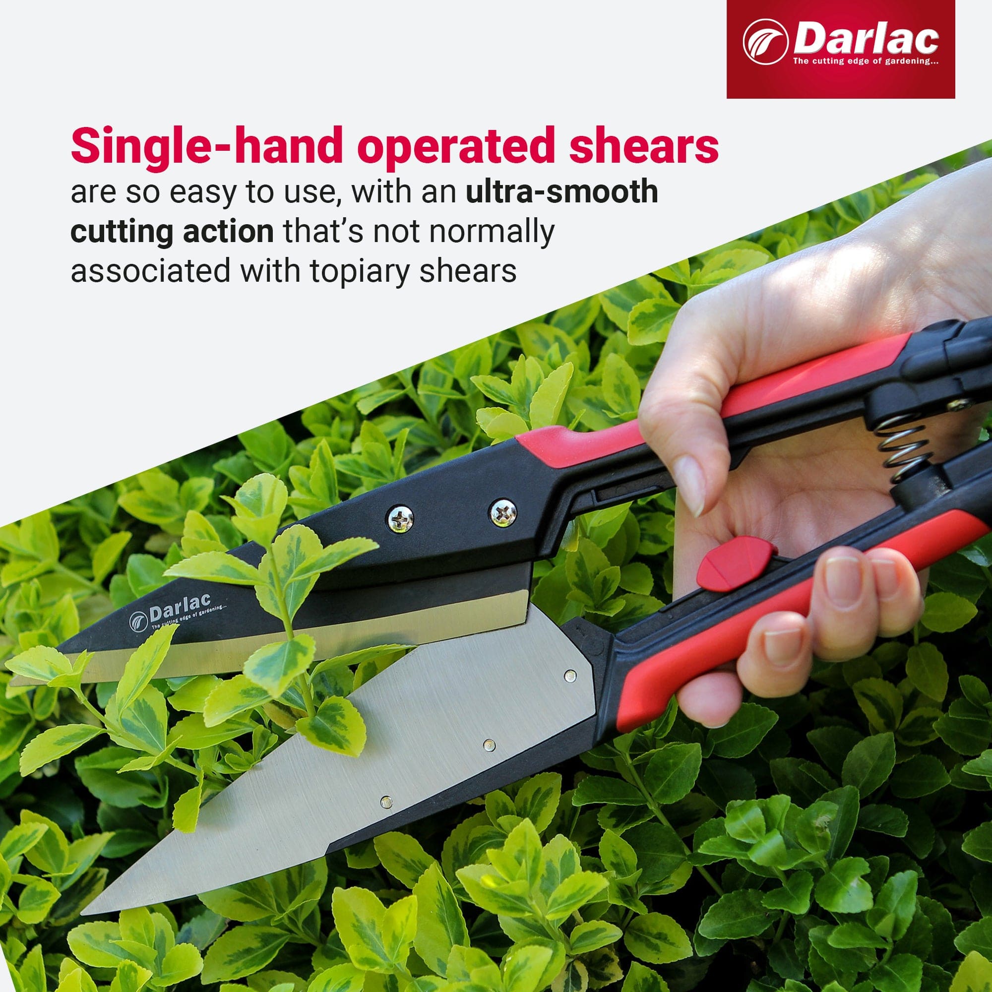 dt-brown HARDWARE Darlac Expert Topiary Shear