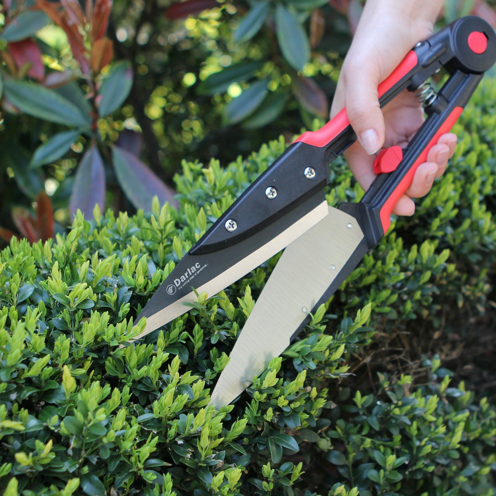 dt-brown HARDWARE Darlac Expert Topiary Shear