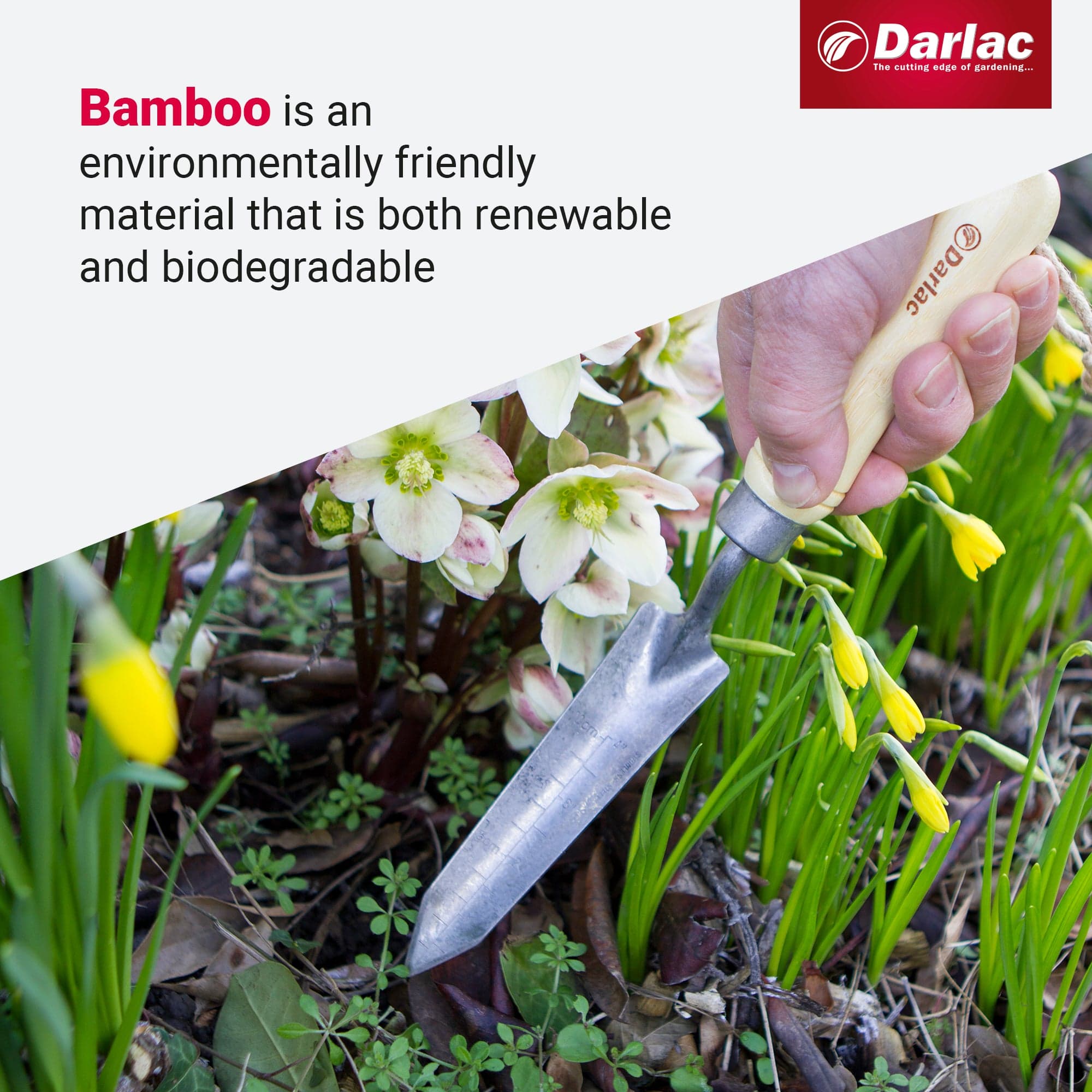 dt-brown HARDWARE Darlac Bamboo Rockery Trowel