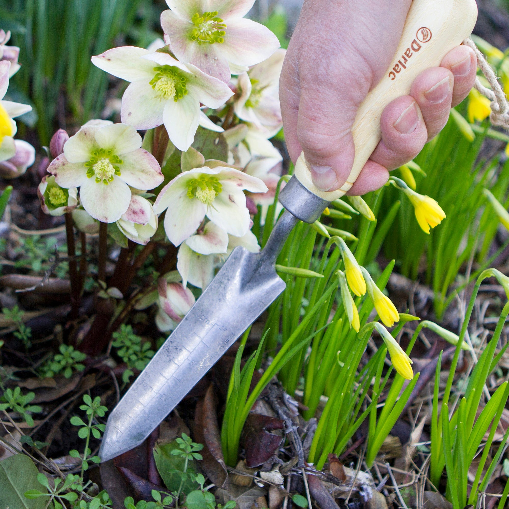 dt-brown HARDWARE Darlac Bamboo Rockery Trowel