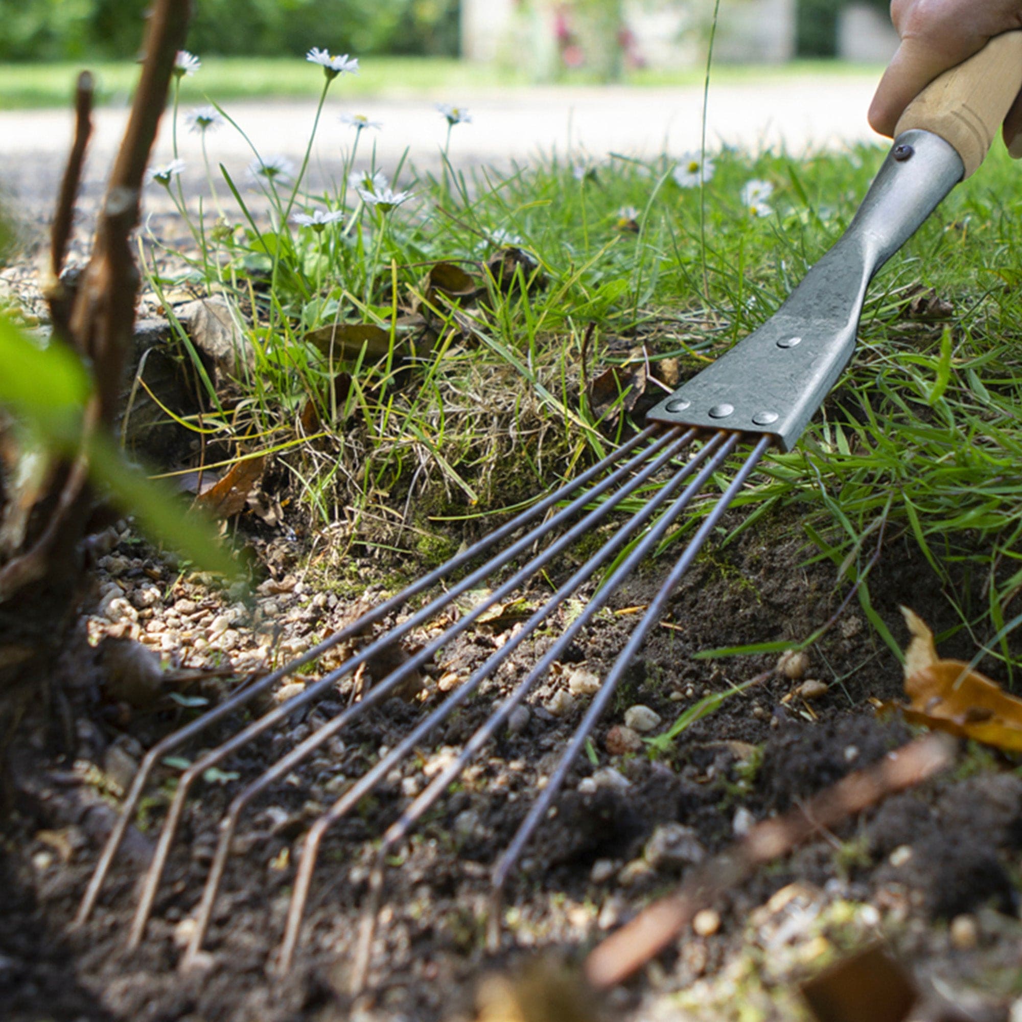 dt-brown HARDWARE Darlac Bamboo Hand Rake