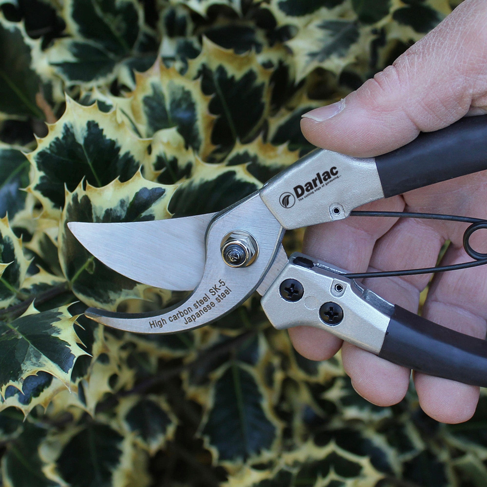 dt-brown HARDWARE Darlac Compact Plus Secateurs