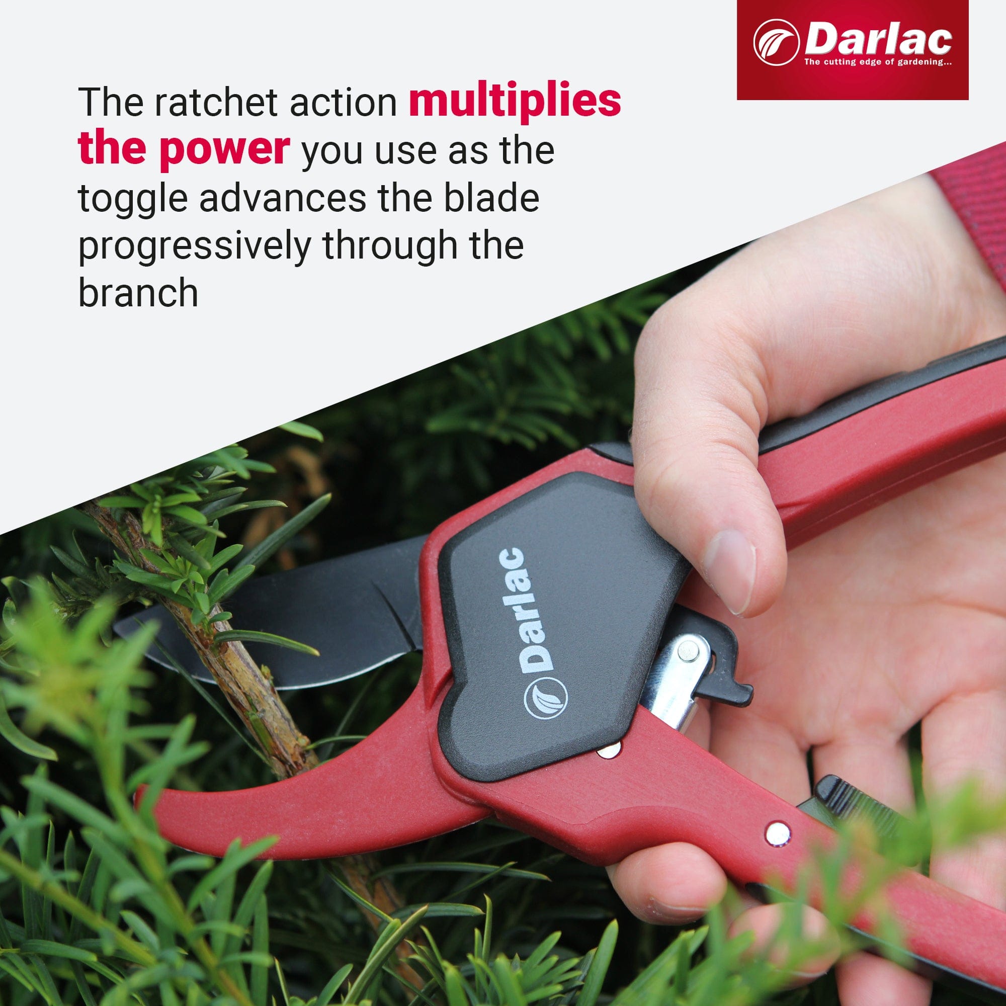 dt-brown HARDWARE Darlac Classic Ratchet Secateurs