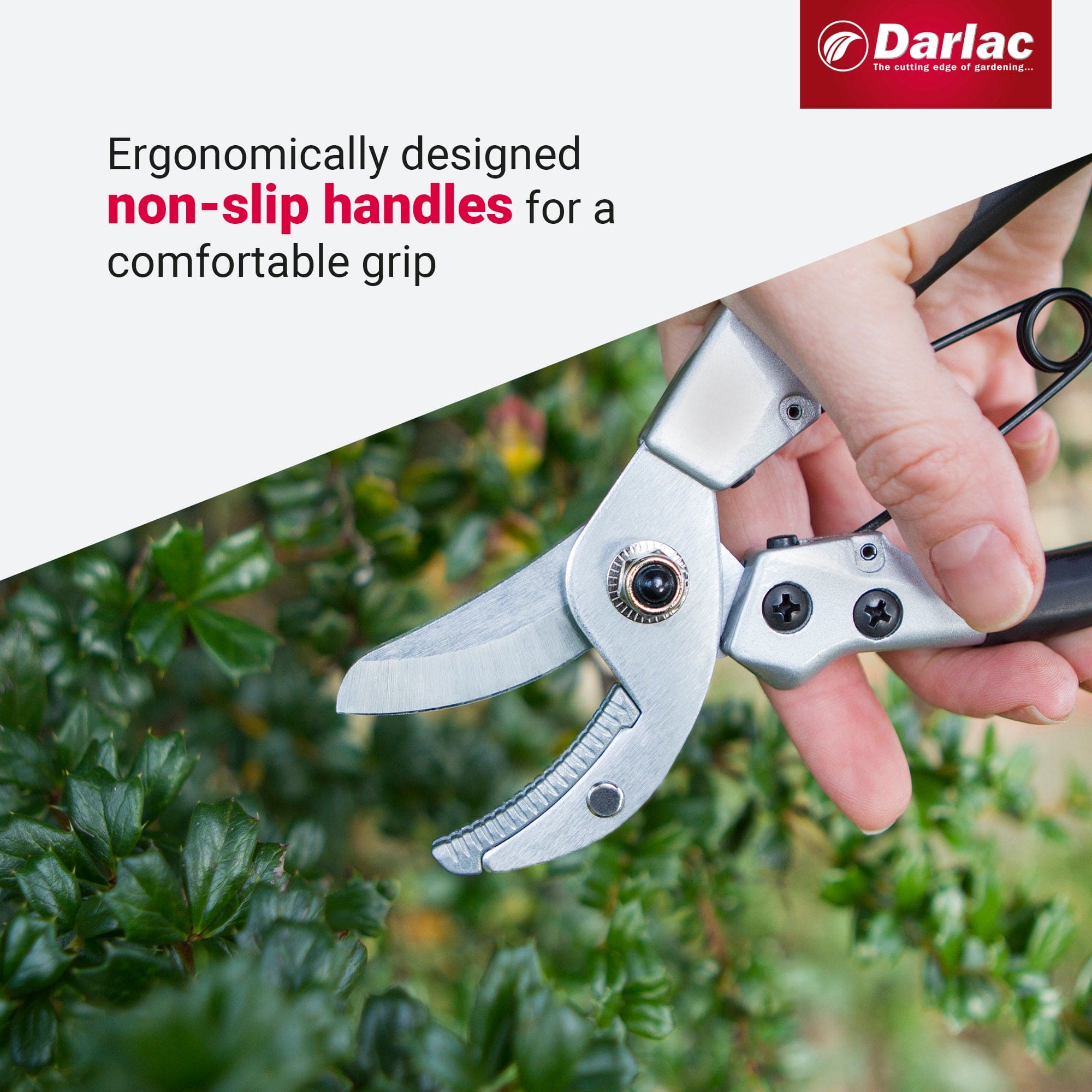 dt-brown HARDWARE Darlac Compact Anvil Secateurs