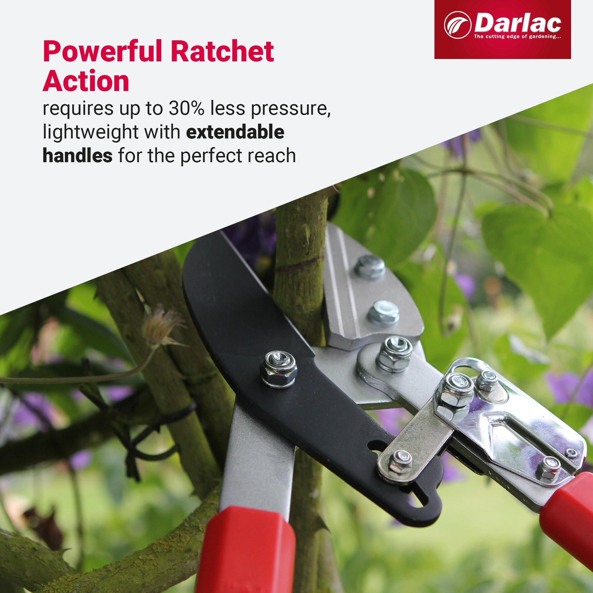 dt-brown HARDWARE Darlac Telescopic Ratchet Lopper