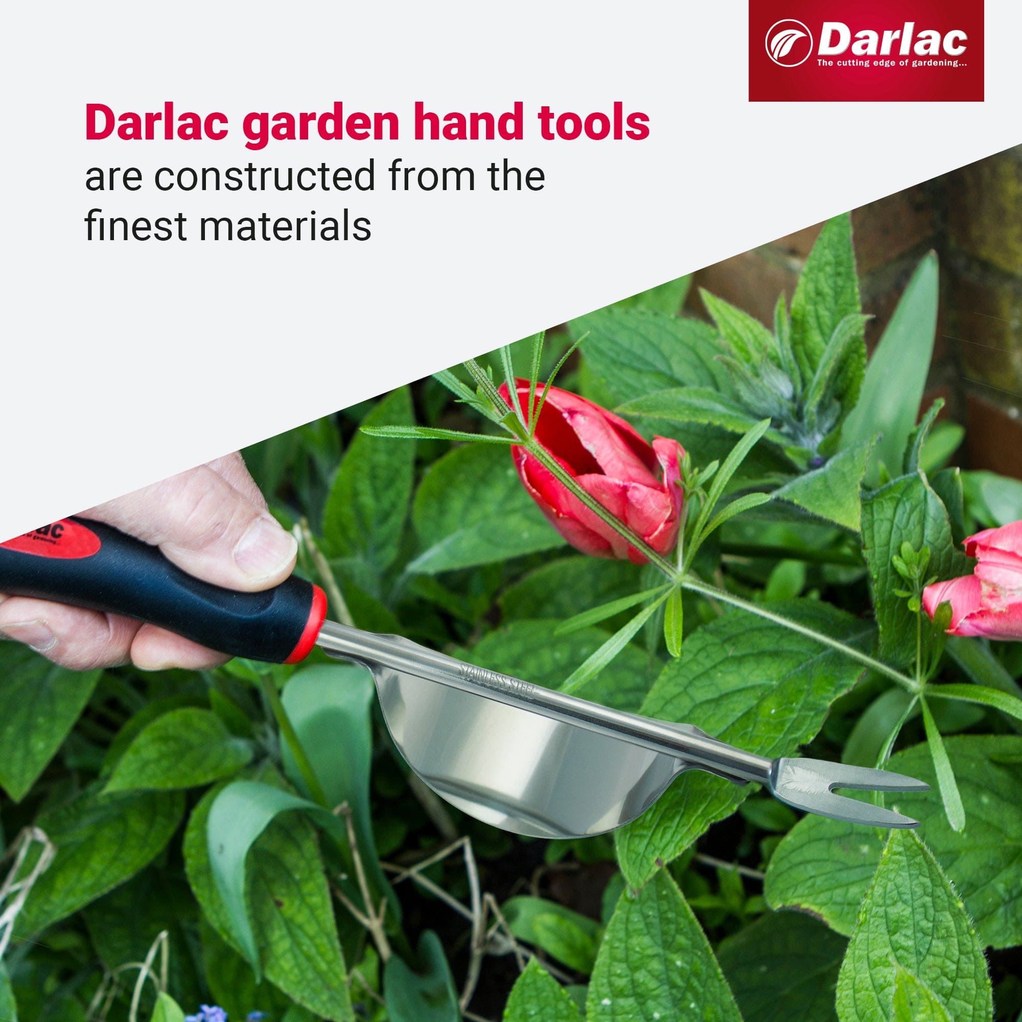 dt-brown HARDWARE Darlac Stainless Steel Daisy Grubber