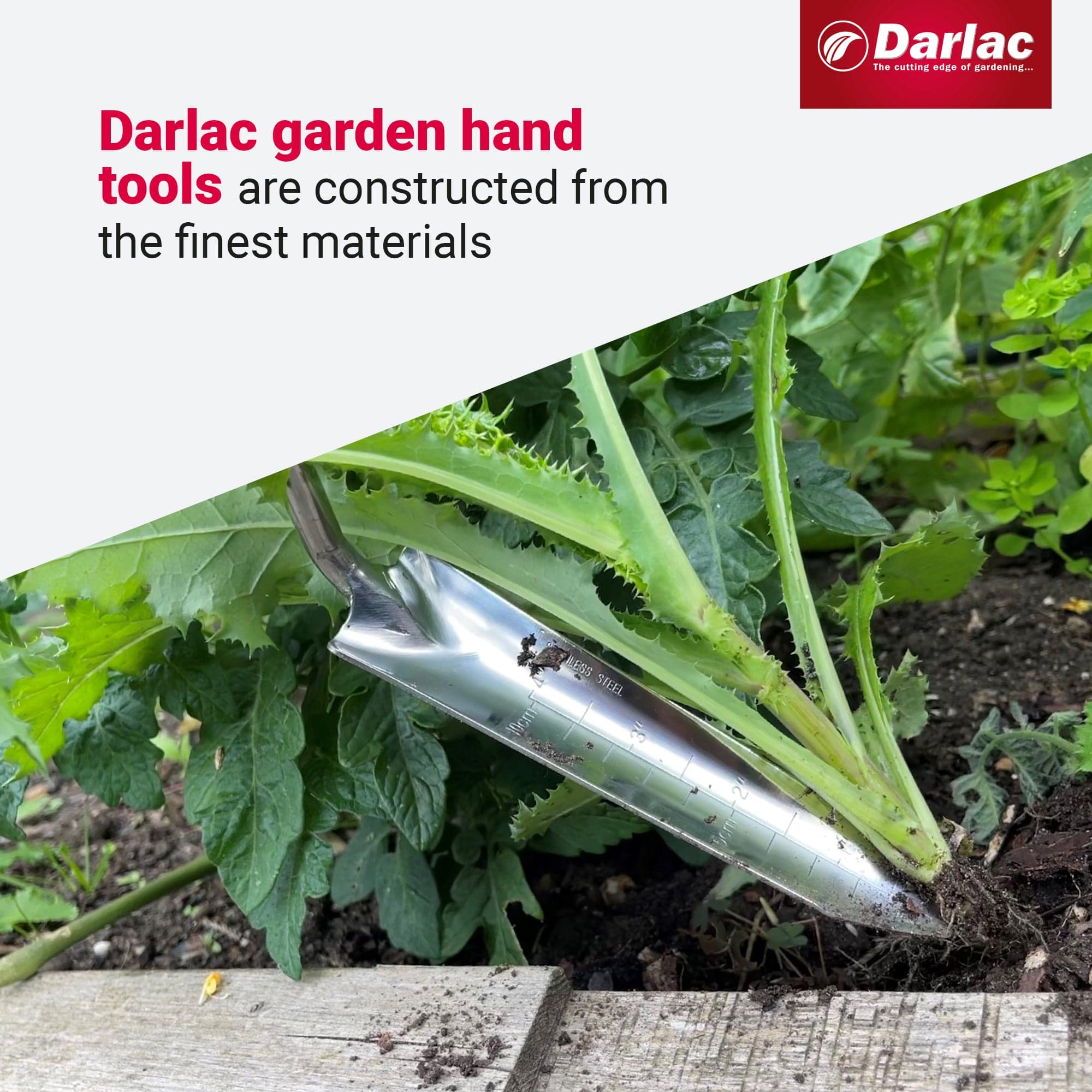 dt-brown HARDWARE Darlac Stainless Steel Rockery Trowel