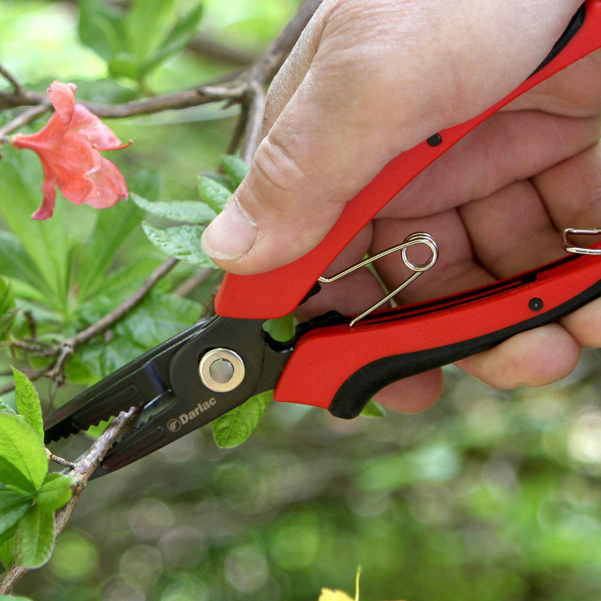 dt-brown HARDWARE Darlac Cut-n-Hold Flower Snips