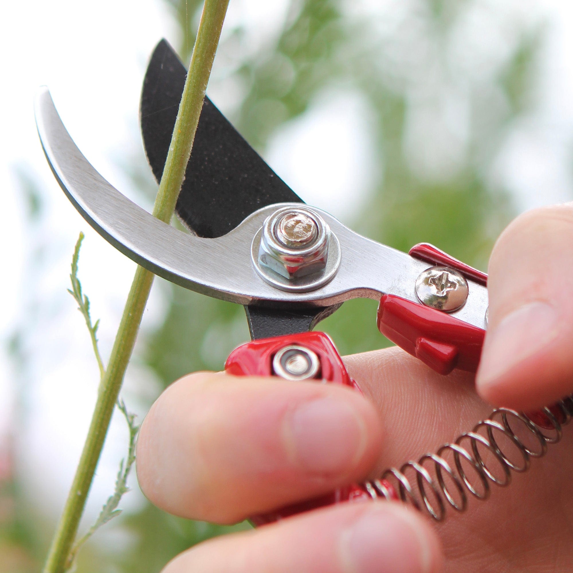 dt-brown HARDWARE Darlac Ergo Pruner