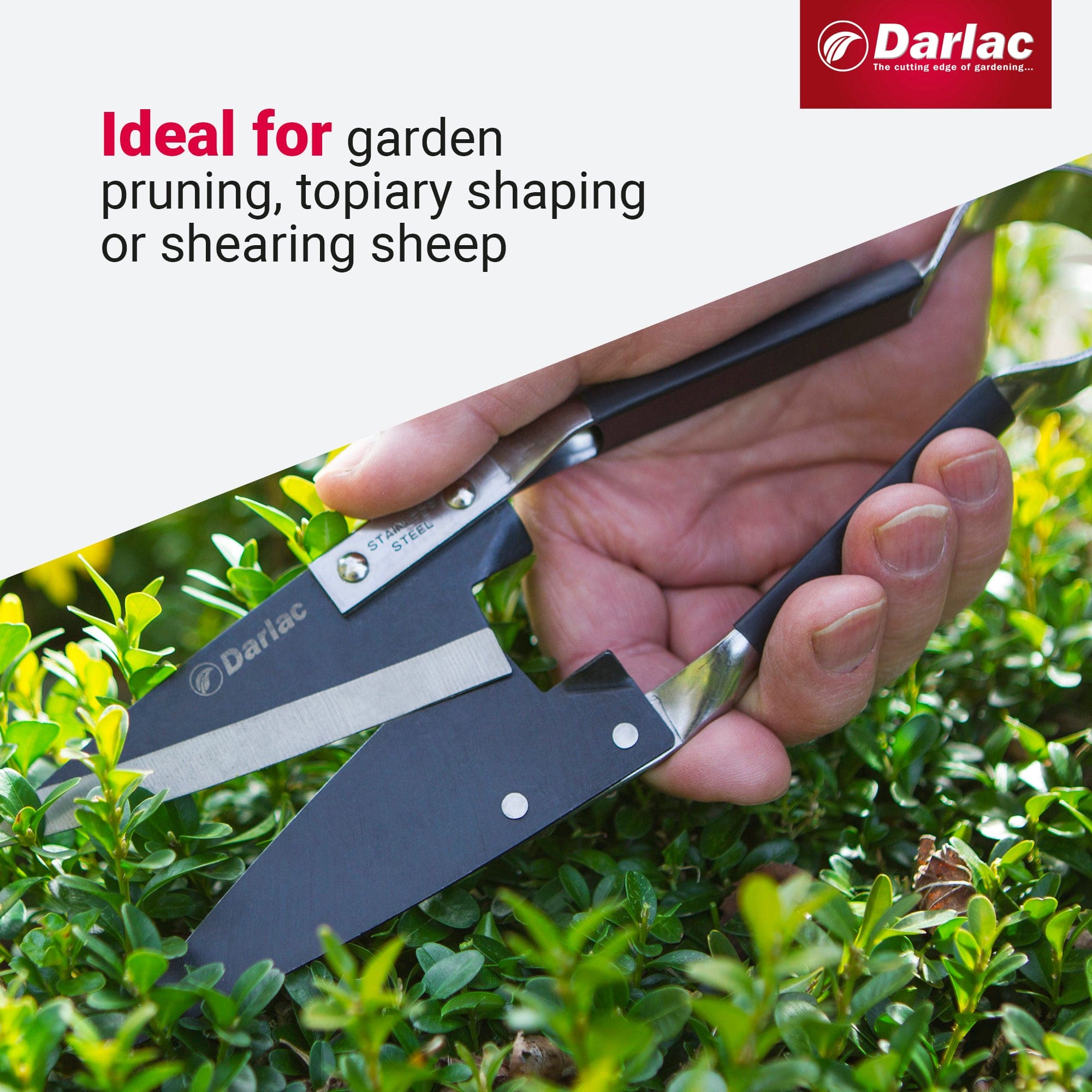 dt-brown HARDWARE Darlac Stainless Steel Topiary Shear