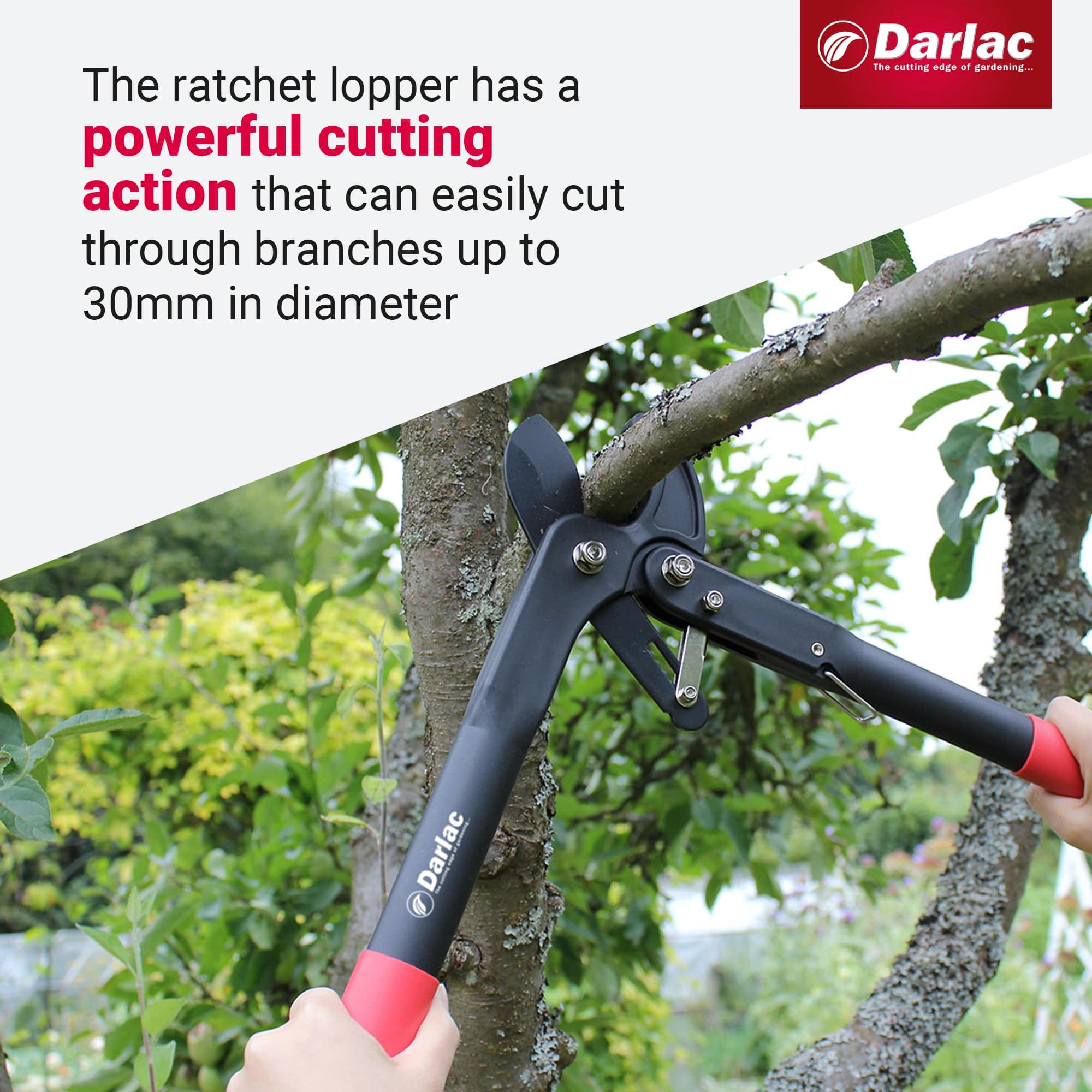 dt-brown HARDWARE Darlac Handy Ratchet Lopper