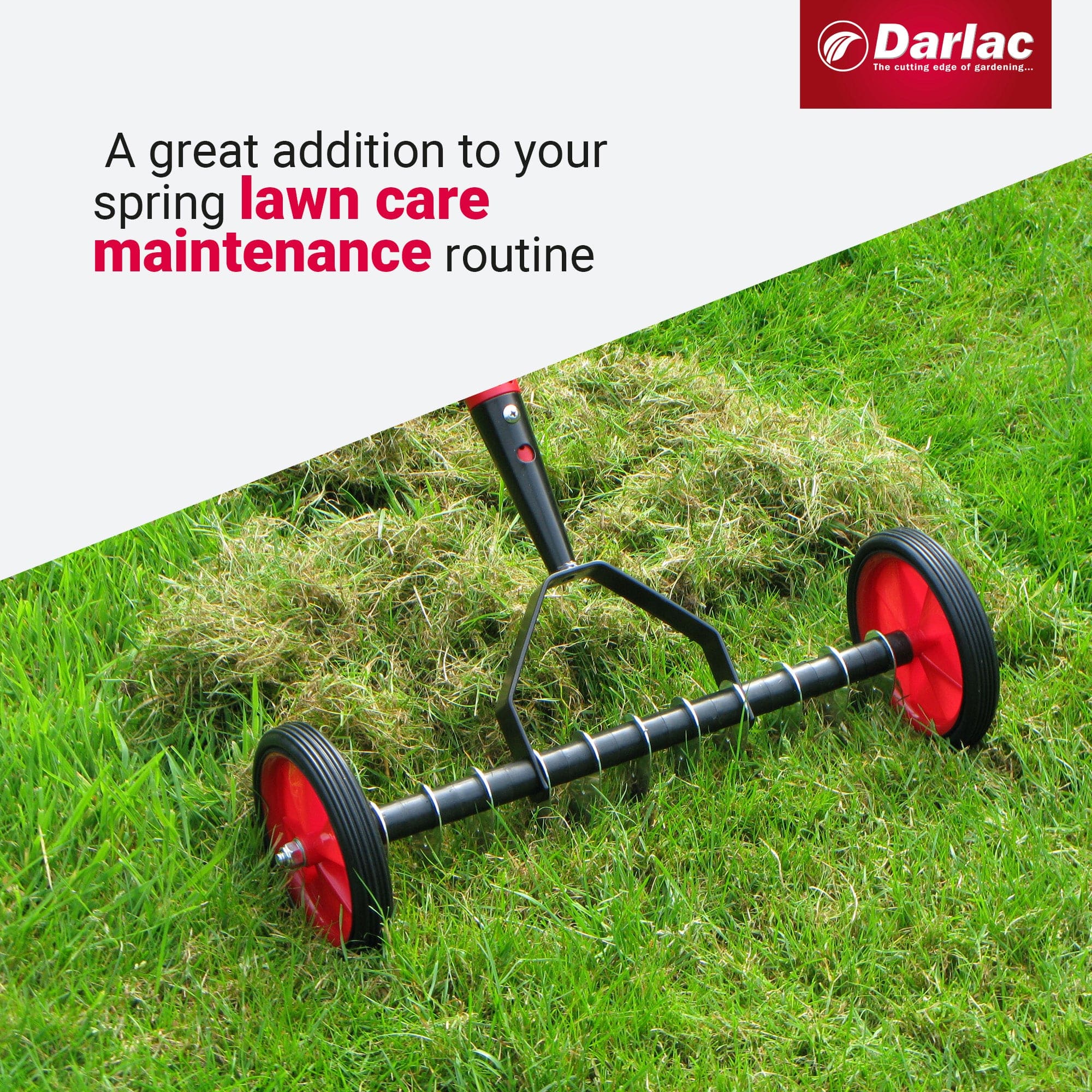 dt-brown HARDWARE Darlac Lawn Scarifier