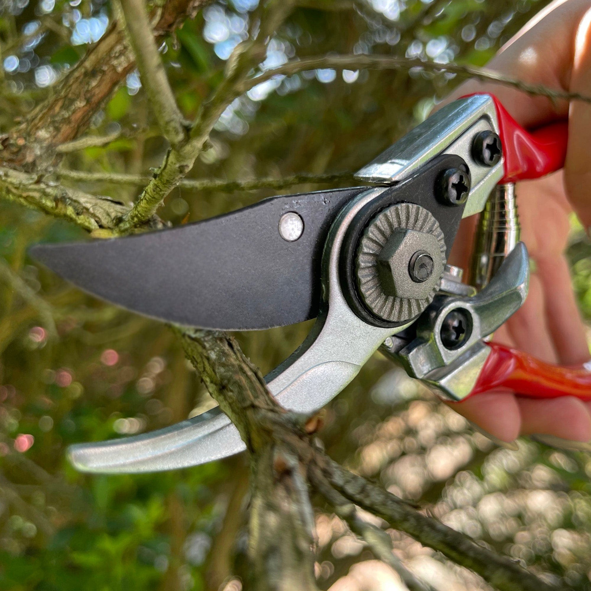 dt-brown HARDWARE Darlac Small Bypass Pruner