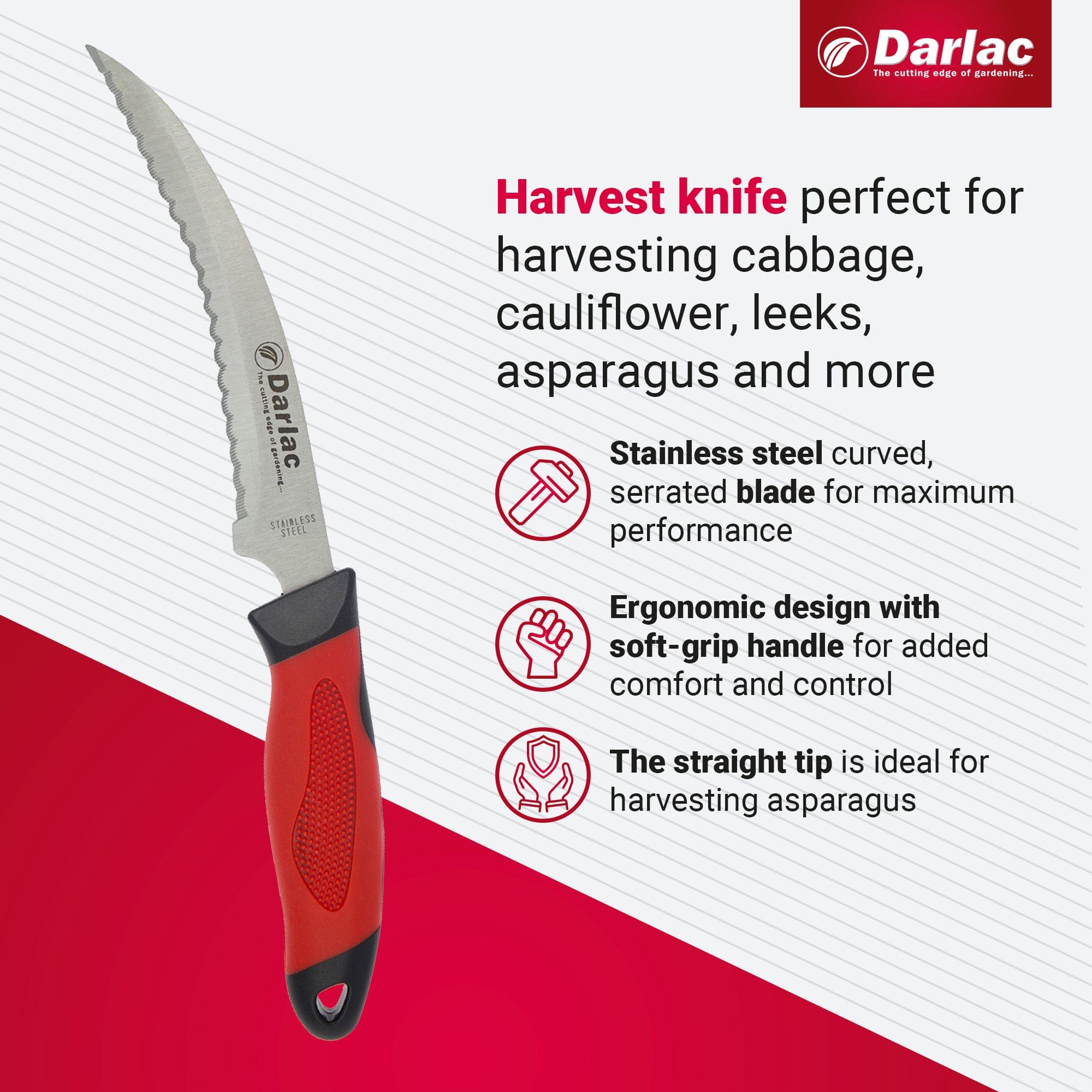 dt-brown HARDWARE Darlac Asparagus and Harvesting Knife