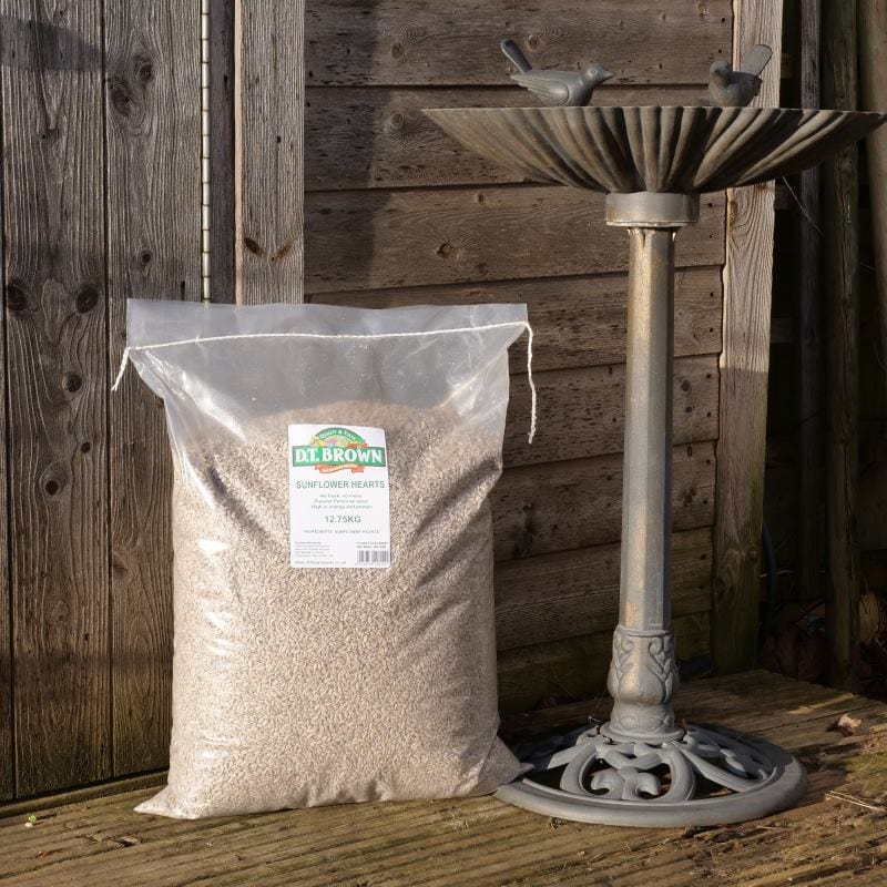 dt-brown HARDWARE Bird Food Sunflower Hearts