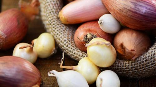 Autumn Planting Onions, Shallots & Garlic