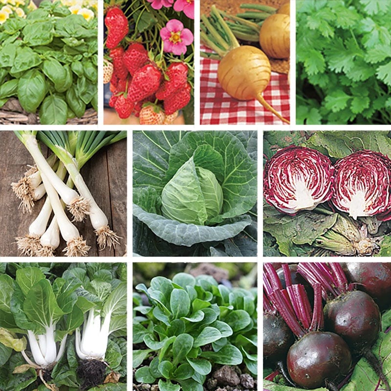 dt-brown VEGETABLE SEEDS July Vegetable Seed Collection