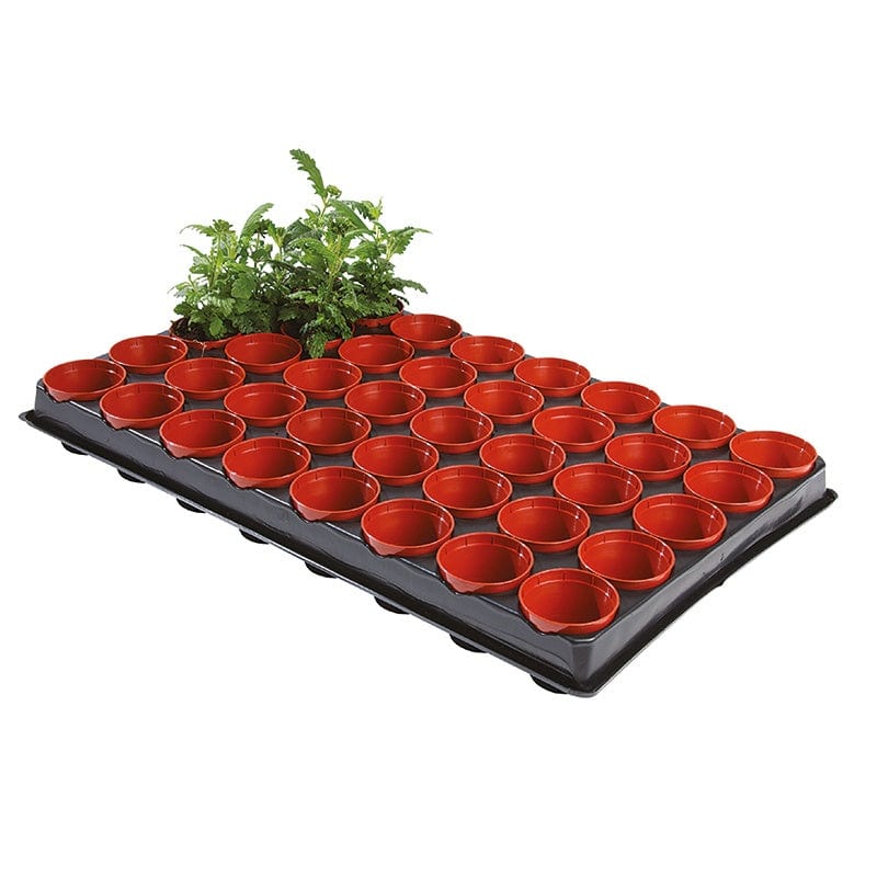 dt-brown HARDWARE Seed and Cutting Tray with 40 x 6cm Pots