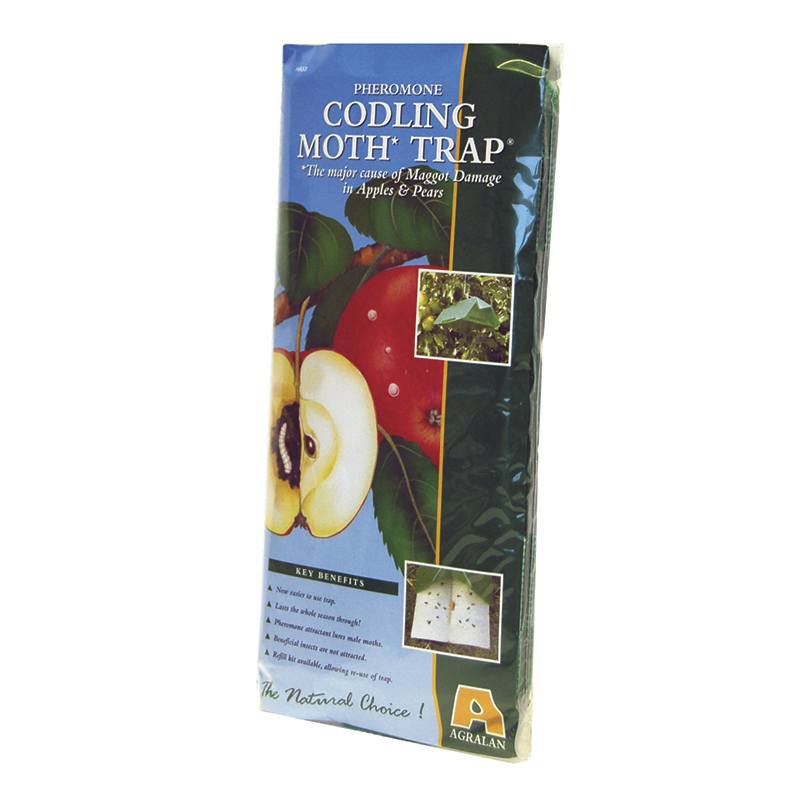 dt-brown HARDWARE Codling Moth Trap & Refill Pack