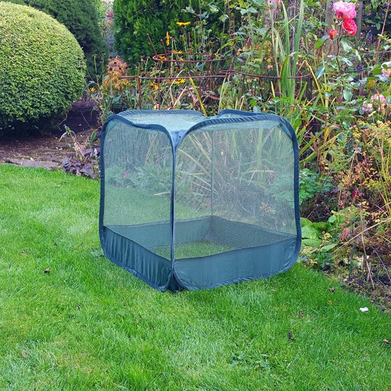 dt-brown HARDWARE Mini Pop-Up Net Cage