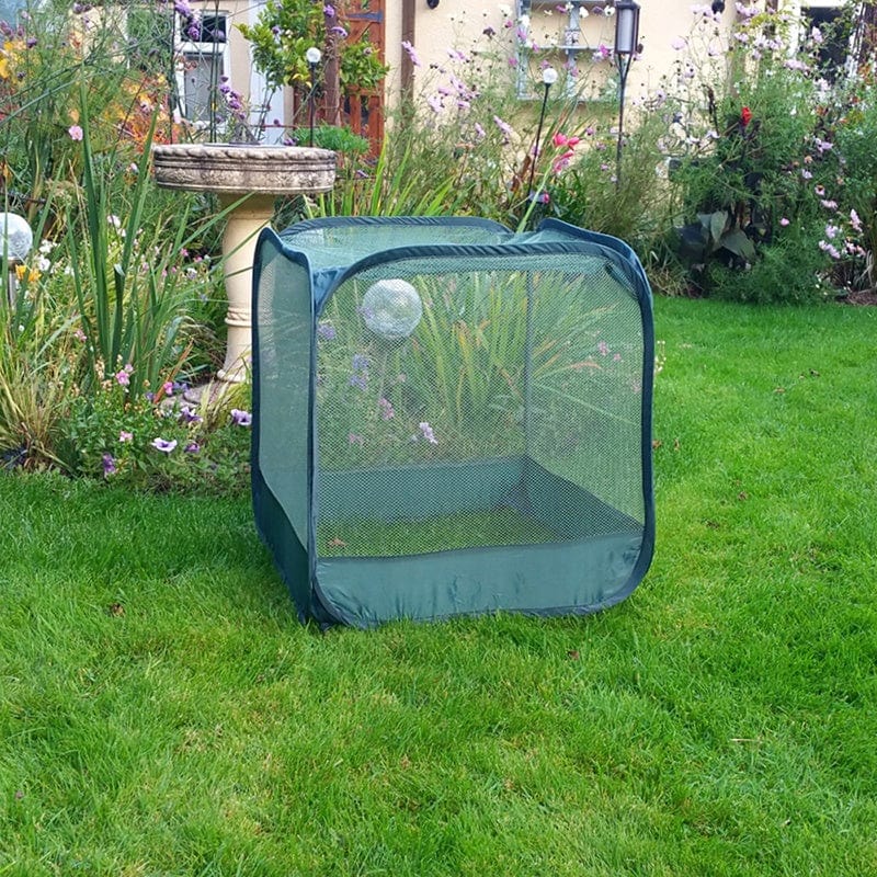 dt-brown HARDWARE Mini Pop-Up Net Cage