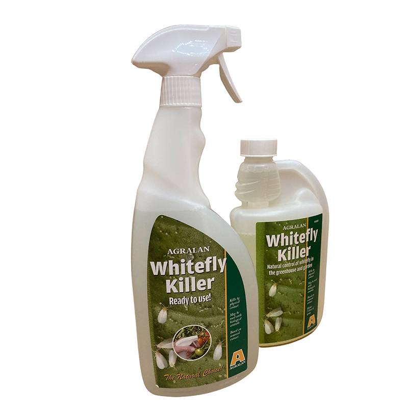 dt-brown HARDWARE Whitefly Killer Concentrate